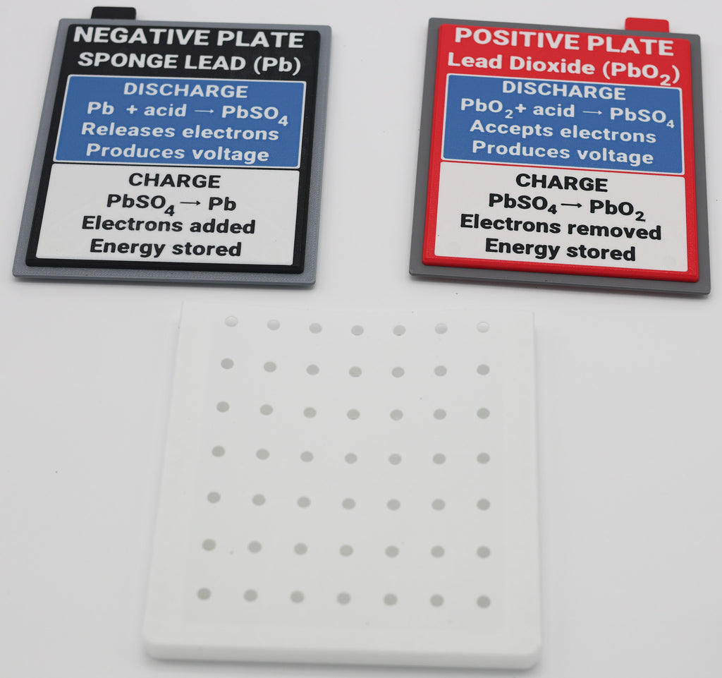 Positive plate, separator, and negative plate assembly